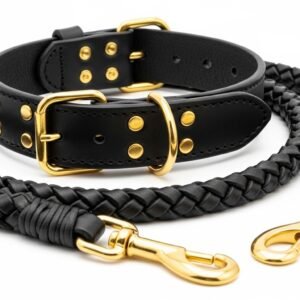 Braided Leather Dog Collar & Lead Set – Adjustable Black Dog Walking Set